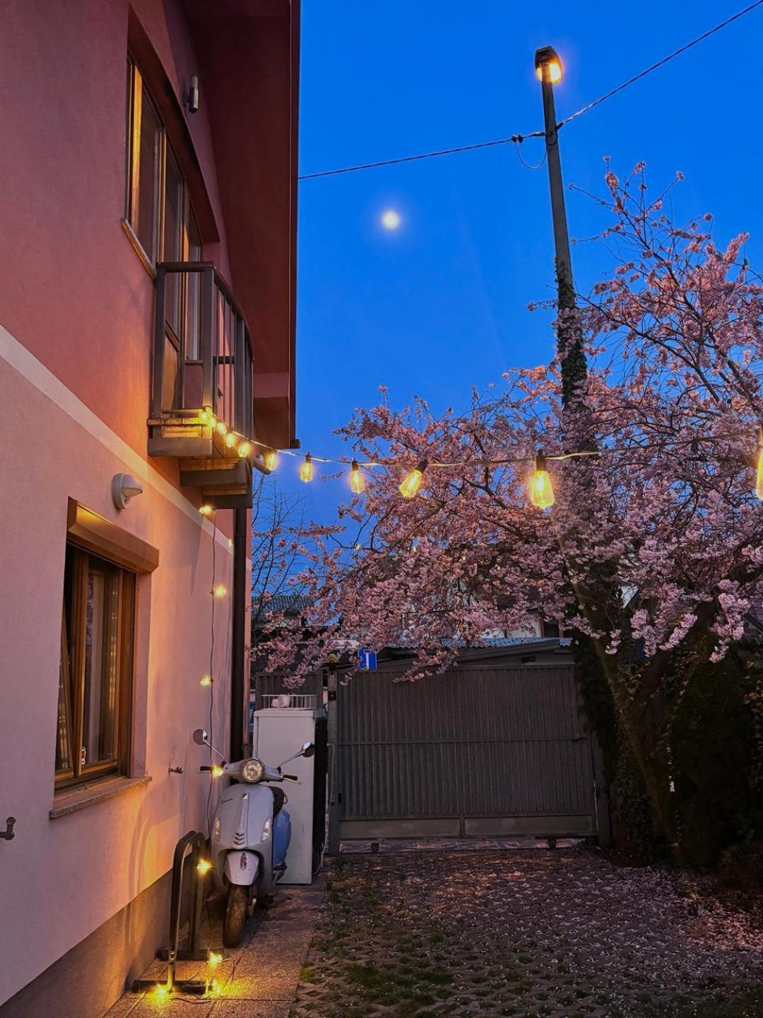 Buzahouse Ljubljana